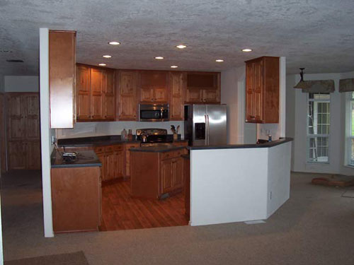 Inside Kitchen before I moved in